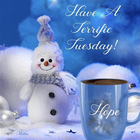 “Nothing messes up your Friday like realizing it’s only <b>Tuesday</b>. . Good morning happy tuesday winter images